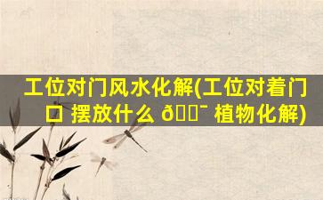 工位对门风水化解(工位对着门口 摆放什么 🐯 植物化解)